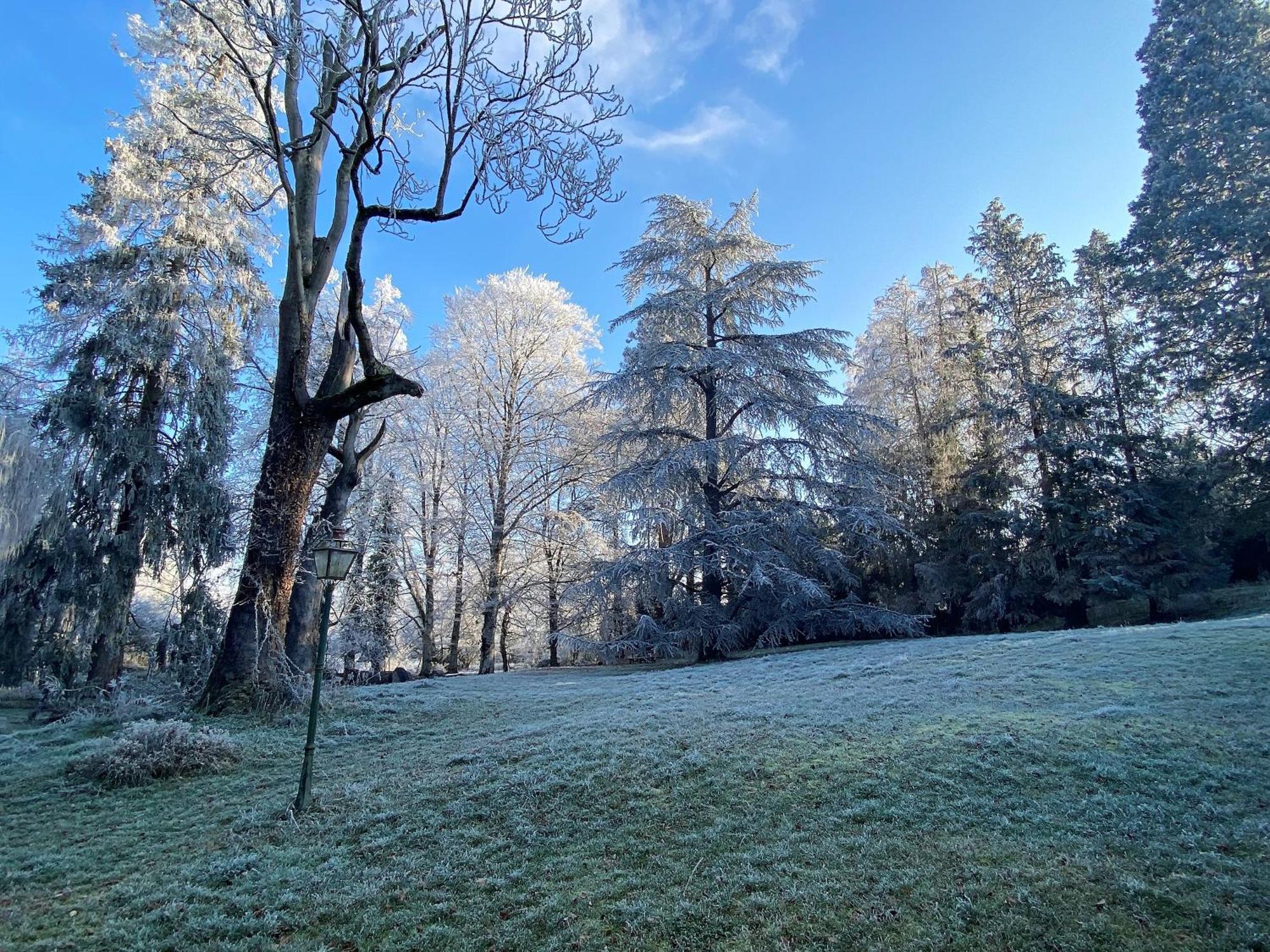 Bed and Breakfast Le Domaine De Moroges Zewnętrze zdjęcie